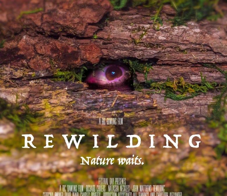 Rewilding Summary, Trailer, Cast, Where to Watch and More