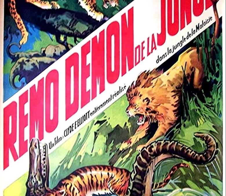 Devil Tiger Summary, Trailer, Cast, Where to Watch and More