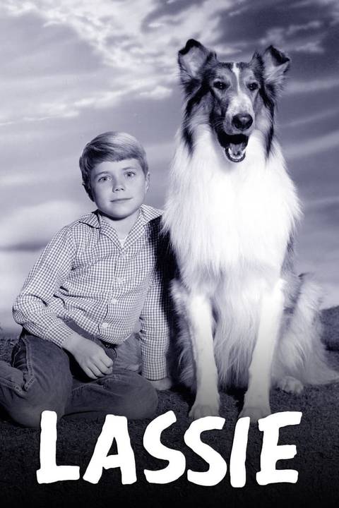 June Lockhart, Lassie And Misplaced In Area Star, Dies At 100 June Lockhart, Lassie And Misplaced In Area Star, Dies At 100