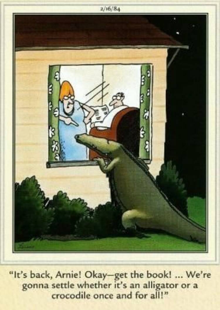 The Far Side, February 16, 1984, an alligator standing outside a suburban home's window.