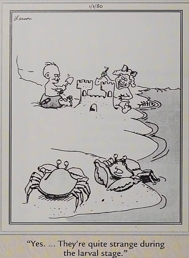 10 Funniest Far Side Comics At The Beach