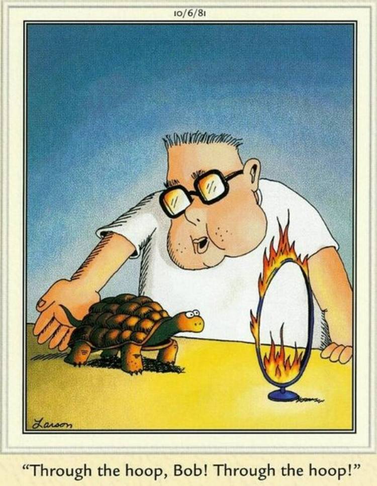 10 Far Side Comics That Will Make You Rethink HumanAnimal Relationships