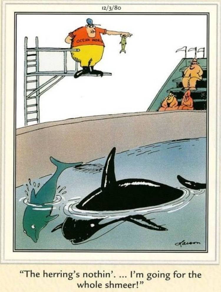 10 Funniest Far Side Comics Starring Underestimated Predators ...