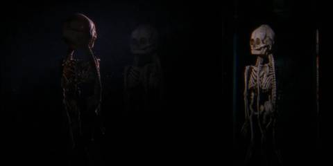 The skeleton of a little person is reflected in a mirror.