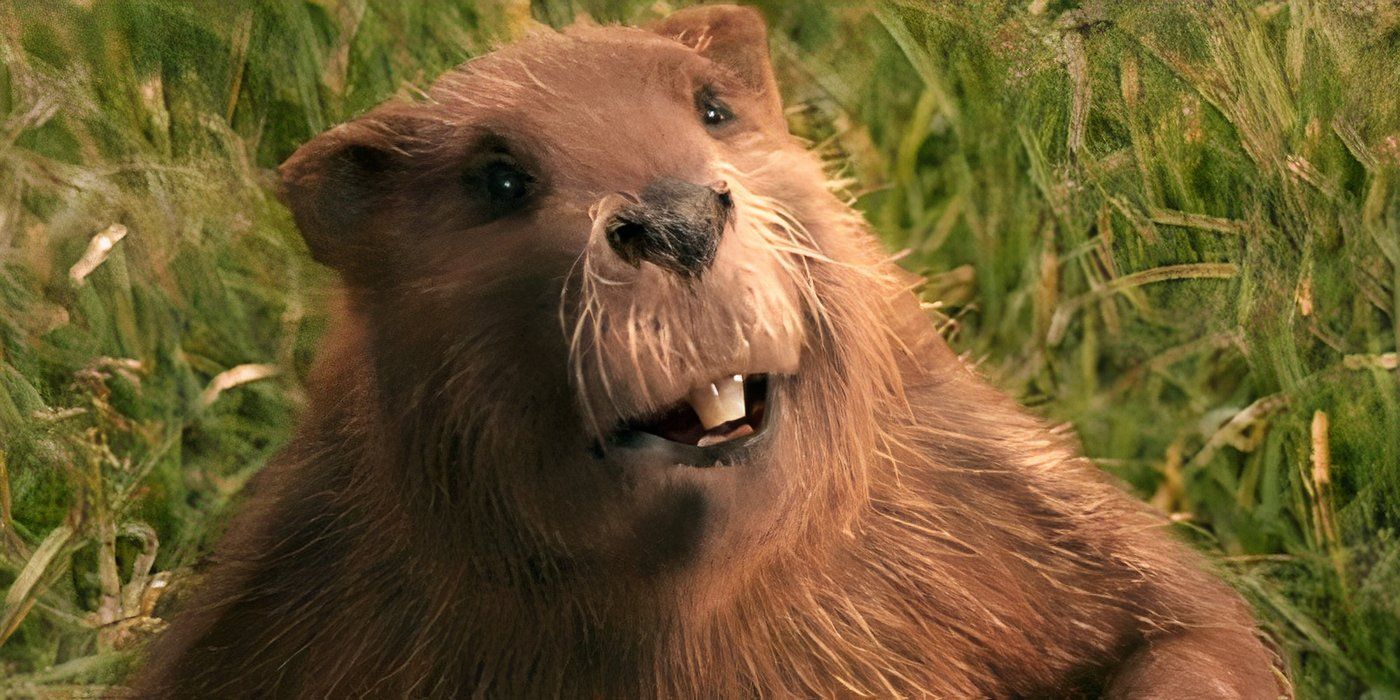 Why The Chronicles Of Narnia 4 Was Canceled Explained — & If Greta ...