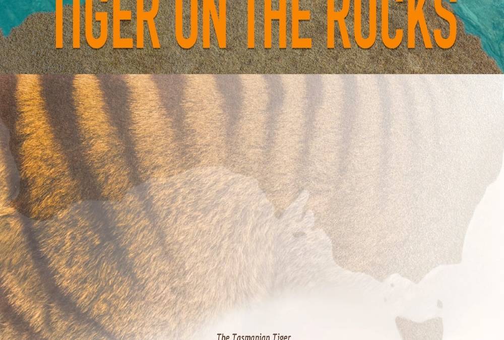 Tiger on the Rocks Summary, Trailer, Cast, Where to Watch and More
