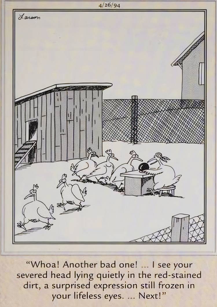 The Far Side: 10 Hilarious Comics Involving Everyone's Favorite Chickens, image size:750x1060