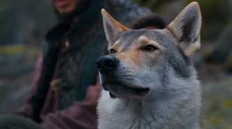 Hopper the wolf does a sniff in The Wheel of Time