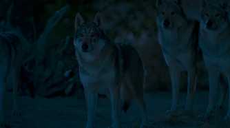 Hopper and the other wolves in The Wheel of Time