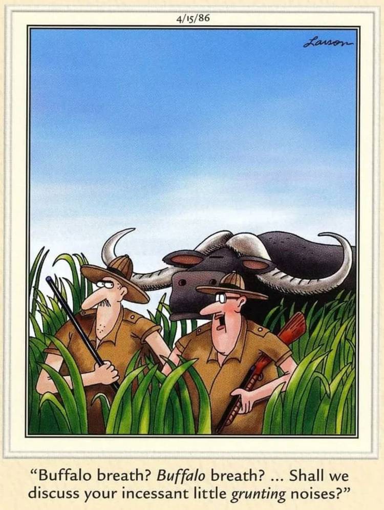 The Far Side, April 15, 1986, two big game hunters both mistake the other for a buffalo that has crept up on them.