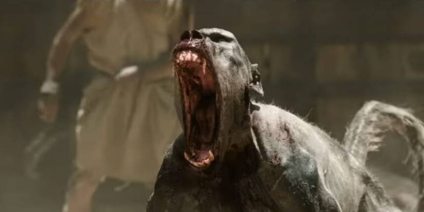 A balding baboon screaming with its teeth out in Gladiator II