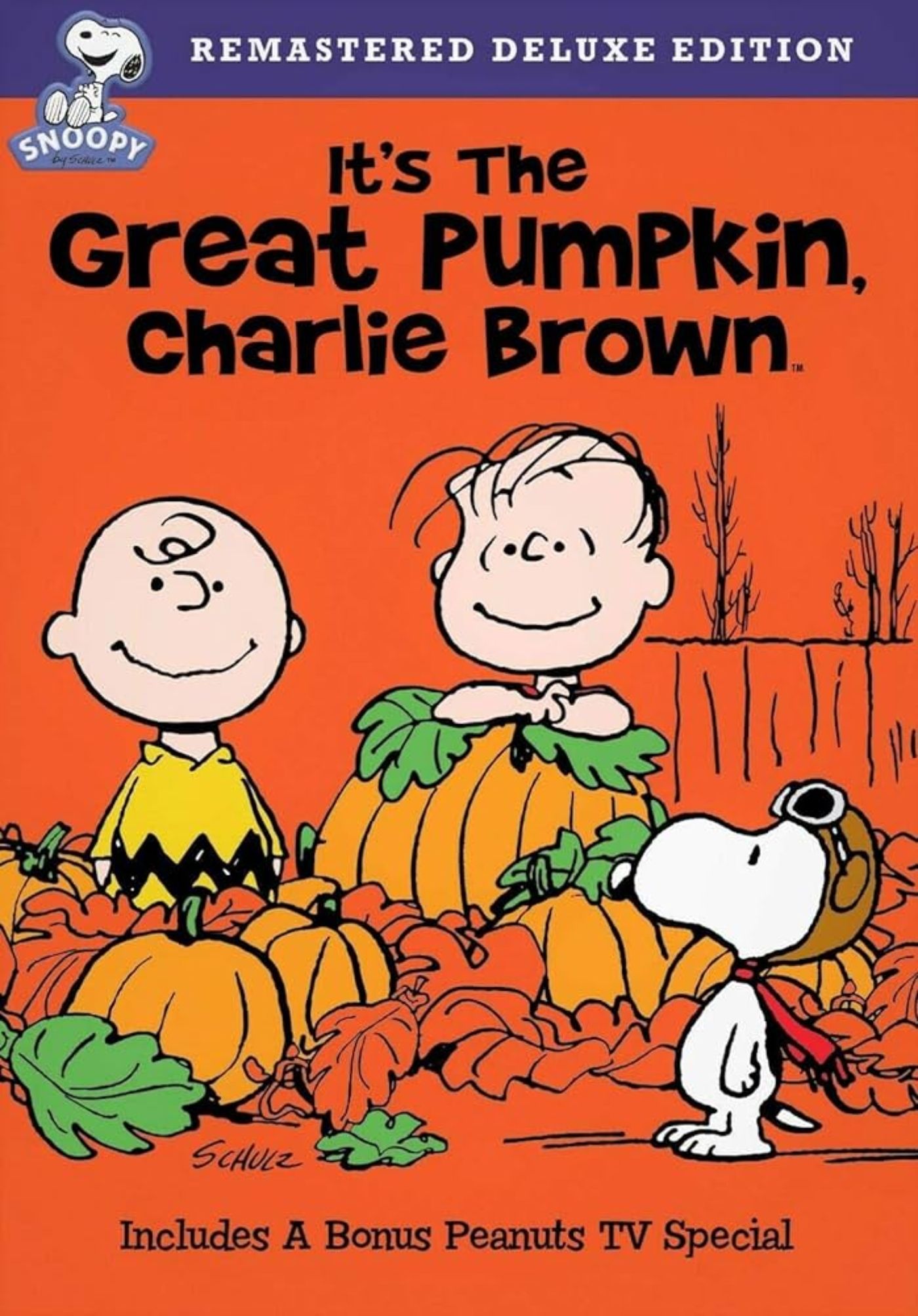 Peanuts Once Revealed That Snoopy Had An Owner Before Charlie Brown (In ...