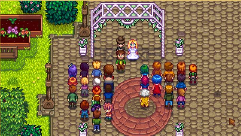 Stardew valley wedding in the town with villagers attending