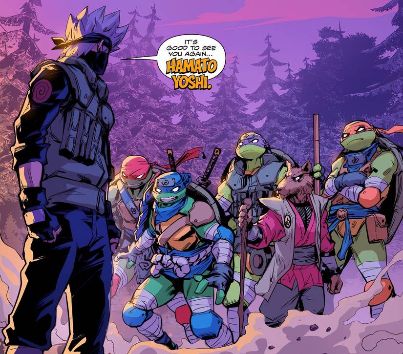 TMNT & Naruto Combine Lore as Kakashi Hatake Reveals History with Splinter