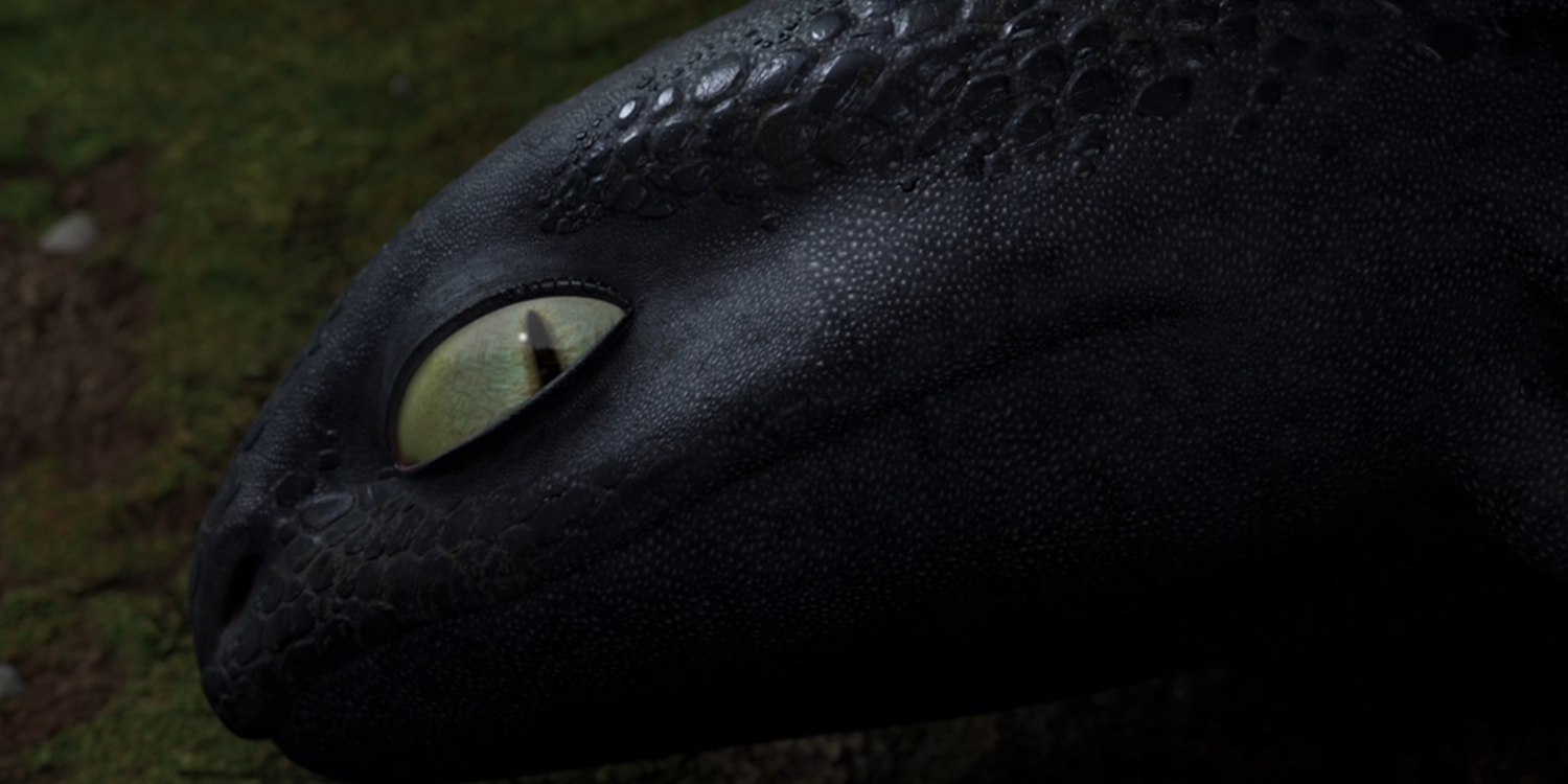 Toothless Eyes