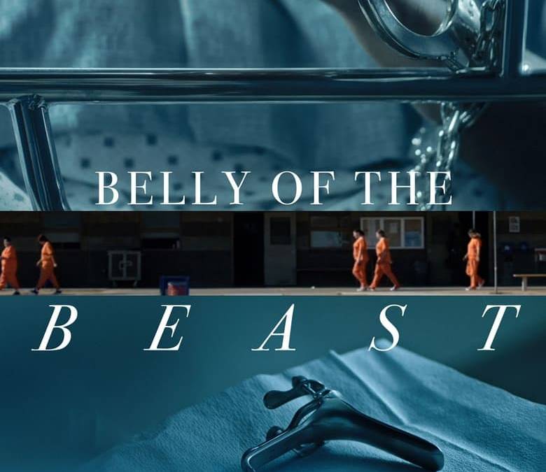 Belly of the Beast Summary, Trailer, Cast, Where to Watch and More