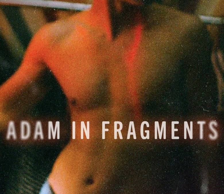 Adam in Fragments Summary, Trailer, Season List, Cast, Where to Watch ...