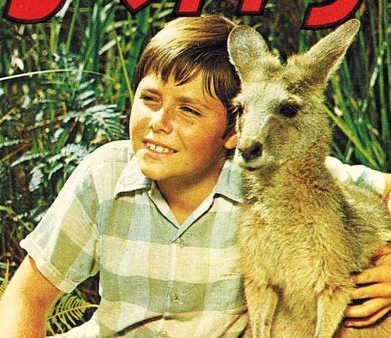 Skippy Summary, Trailer, Season List, Cast, Where to Watch and More