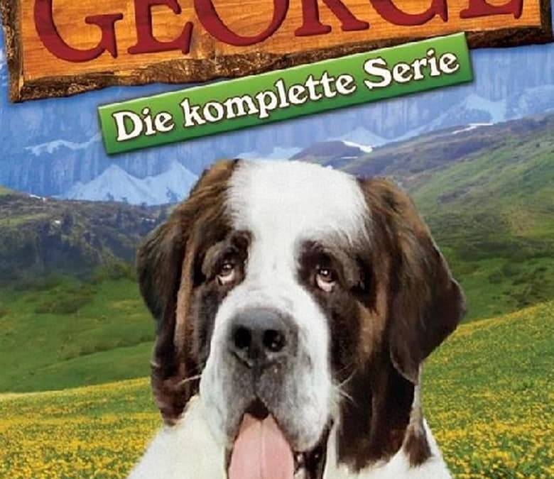 George Summary, Trailer, Season List, Cast, Where to Watch and More