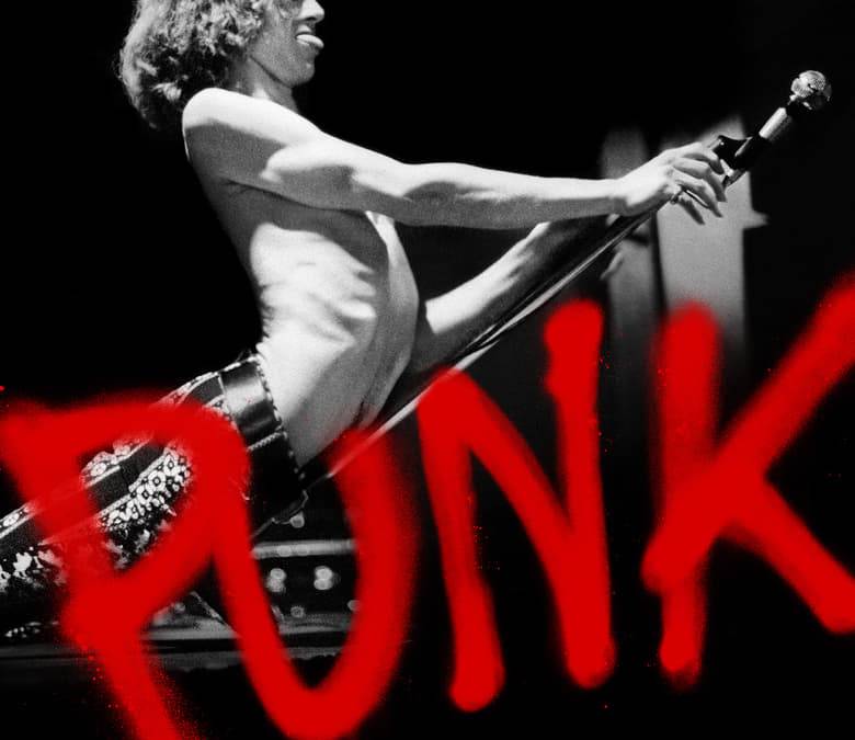 Punk Summary, Trailer, Season List, Cast, Where to Watch and More