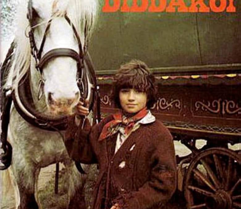 Kizzy Summary, Trailer, Season List, Cast, Where to Watch and More