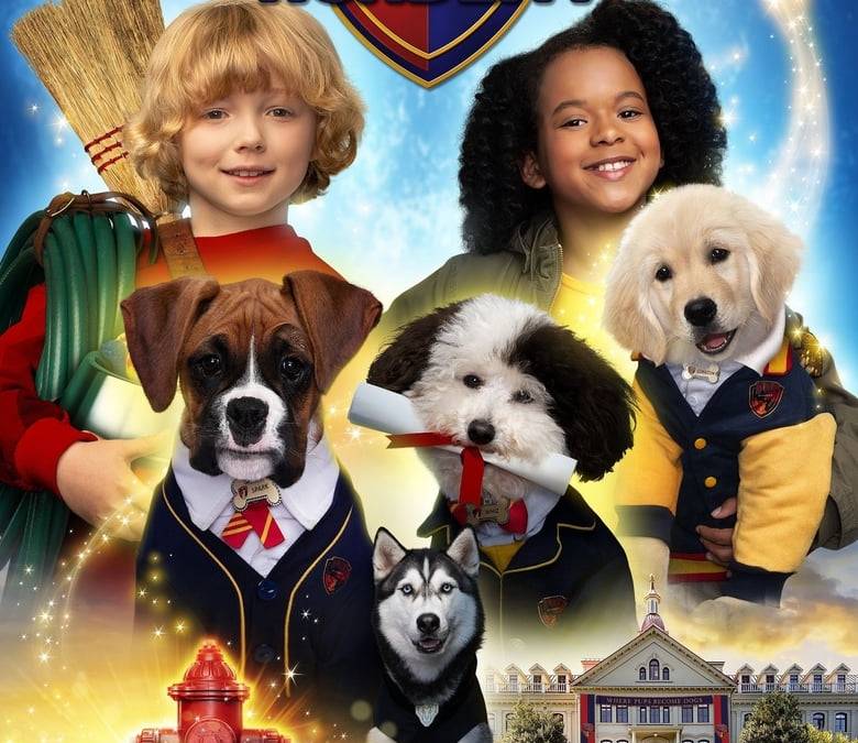 pup-academy-summary-trailer-season-list-cast-where-to-watch-and-more