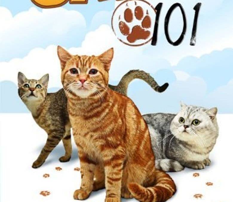Cats 101 Summary, Trailer, Season List, Cast, Where to Watch and More