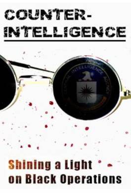 Counterintelligence Character Counter-Intelligence Summary, Trailer, Season List, Cast, Where to ...