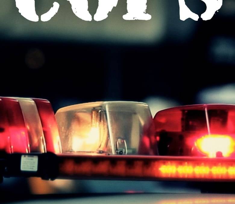 Cops 2016 Cops Summary, Trailer, Season List, Cast, Where to Watch and More