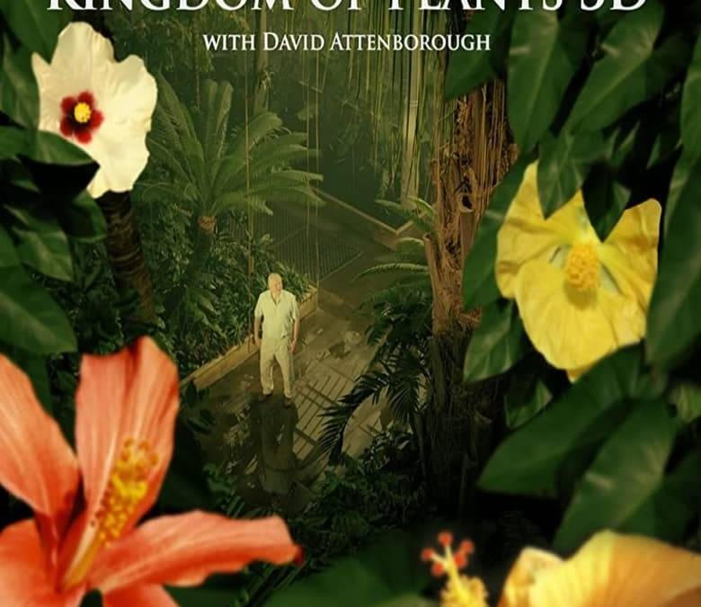Kingdom of Plants 3D Summary, Trailer, Season List, Cast, Where to ...