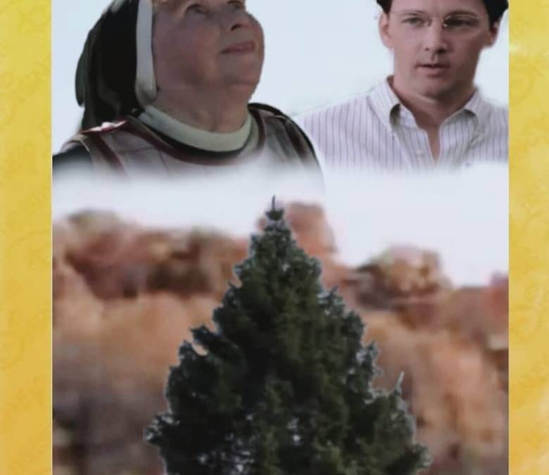 The Christmas Tree Summary, Trailer, Season List, Cast, Where to Watch ...