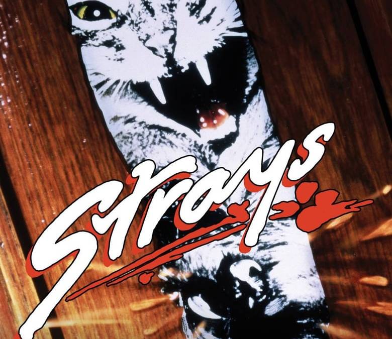 Strays Summary, Trailer, Season List, Cast, Where to Watch and More