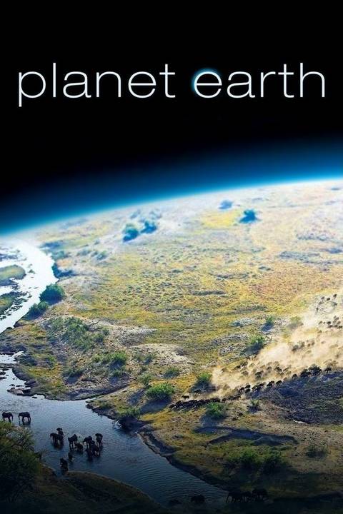 Nature Document 15 Best Nature Documentaries, Ranked