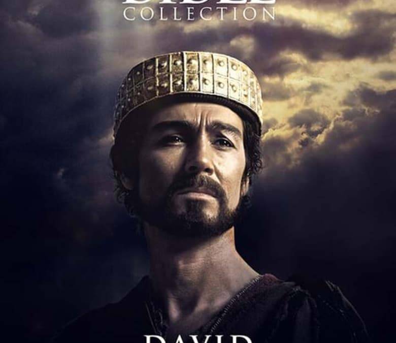 David Summary, Trailer, Season List, Cast, Where to Watch and More
