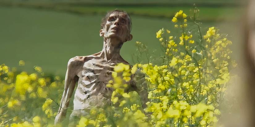 A desiccated Infected rising from a field of yellow flowers in 28 Years Later