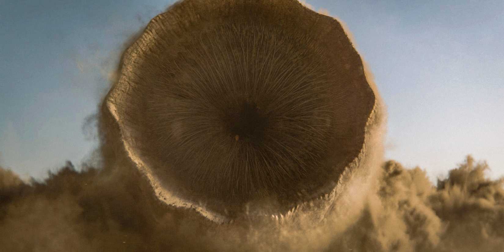 The sandworm appears in Valya's final vision in Dune: Prophecy Season 1 Ep 6