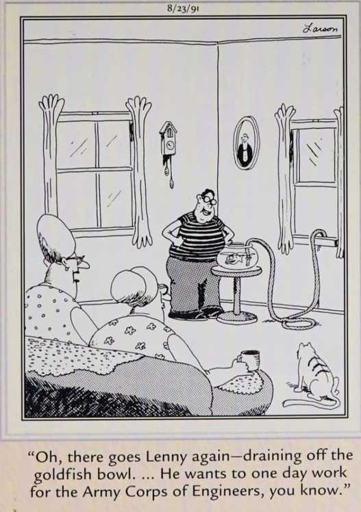 Far Side, August 23, 1991, a young man invents a drainage device to suck the water out of his goldfish's bowl