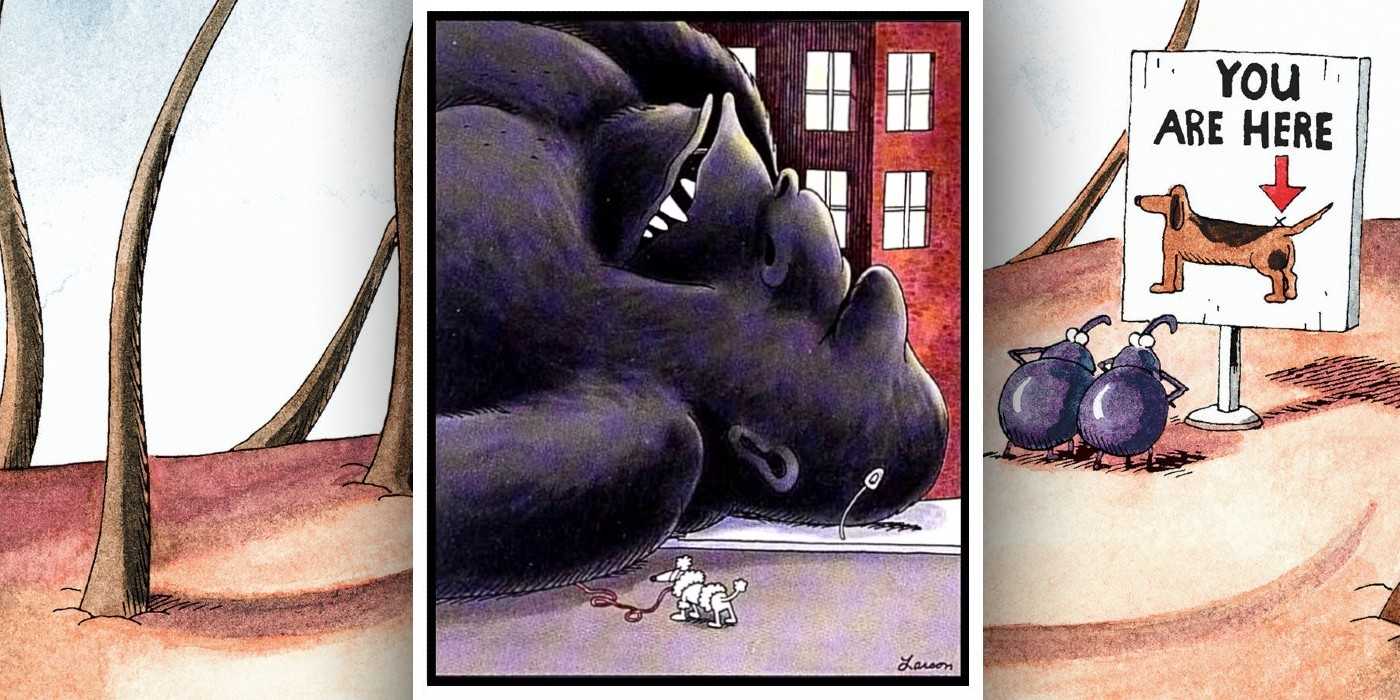 Farpreactor Far Side's Most Confusing Comic Just Turned 40 - Can You Get the Joke ...
