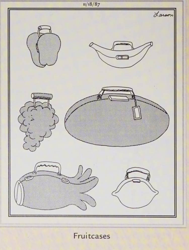 Far Side, November 18, 1987, showing different types of 'fruitcases'