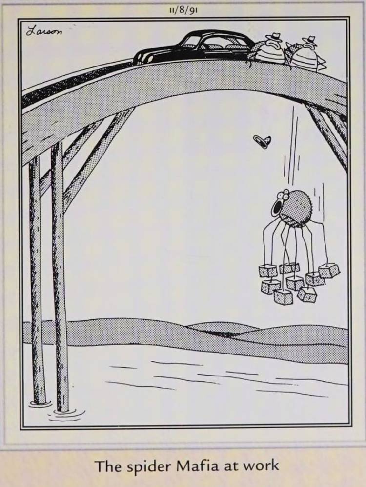 Far Side, November 8, 1991, a spider in cement shoes is thrown off a bridge