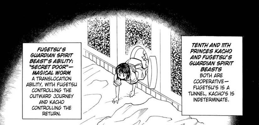 manga panel explaining the ability of Kacho's Nen Beast