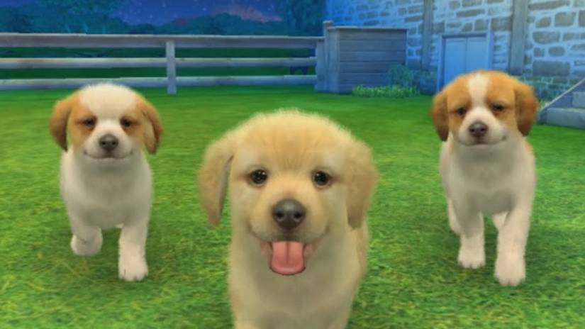 Nintendogs three fluffy puppies in the grass looking at the player