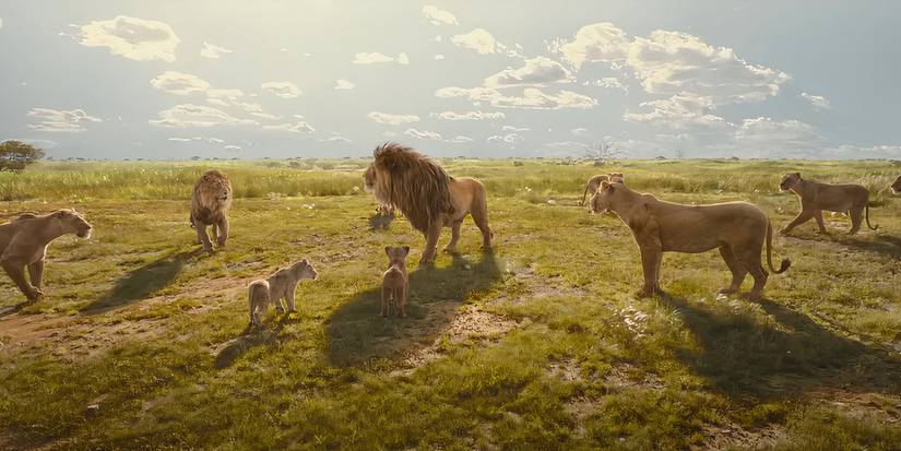 Животные, стоящие вместе в "Муфаса: Царь Львов" (2024)