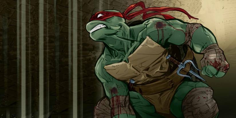 Everyone Loves Leonardo, But I Think TMNT Needs to Give Raphael Way ...