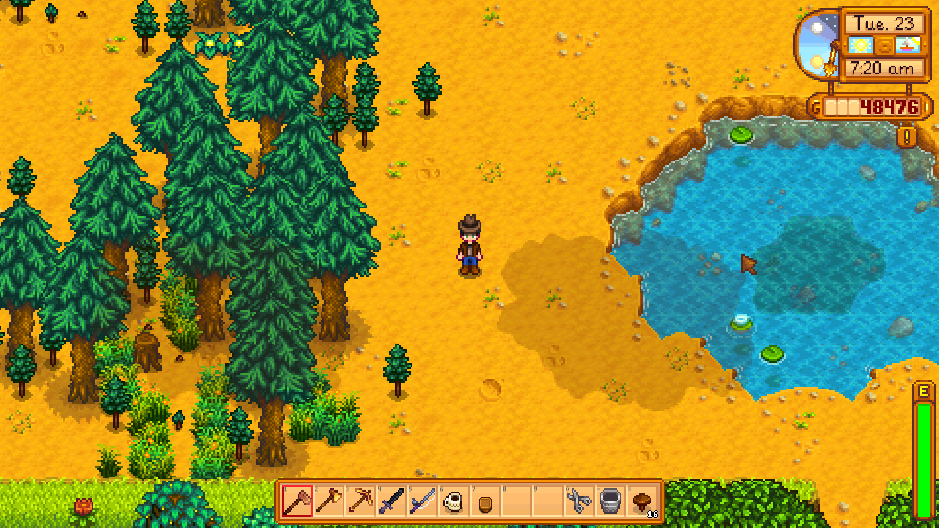 One Lost Book In Stardew Valley Leads To Three Of The Weirdest Items In ...