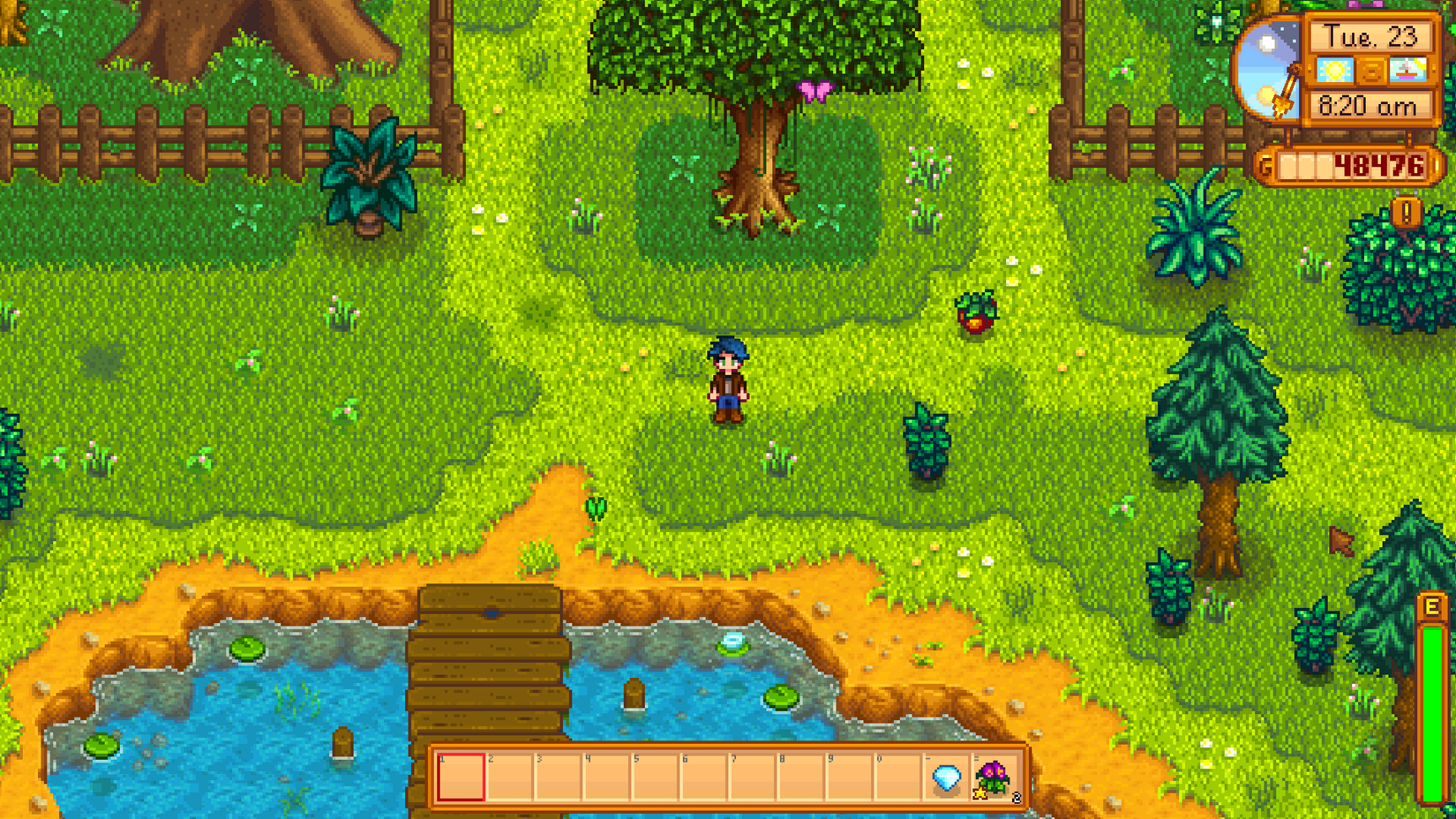 Stardew valley character standing between a large tree and a pier in a lake