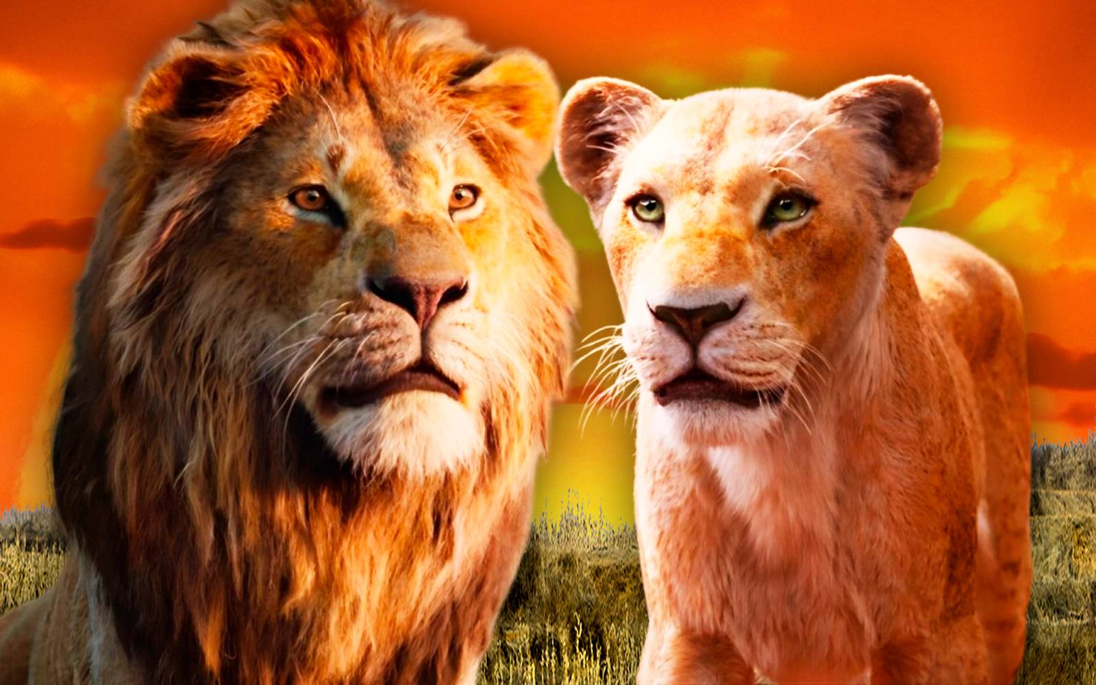 Nala Et Simba