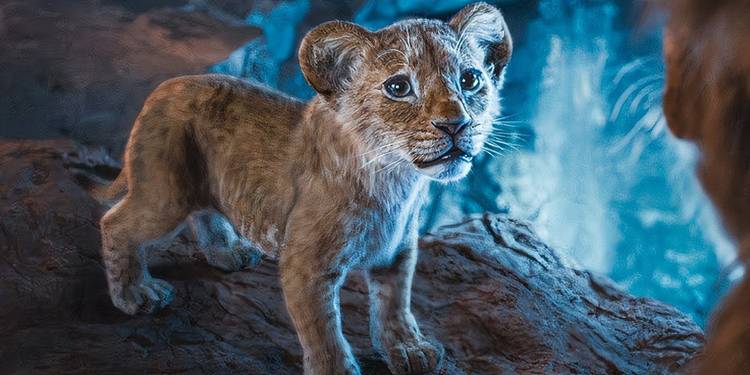 Disney Should Make An Animated The Lion King 3 Next & This Box ...