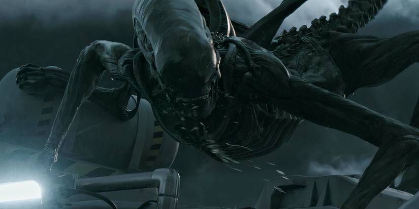 Horrifying Alien Art Imagines Xenomorph-Spider Hybrid (Why Haven’t The ...
