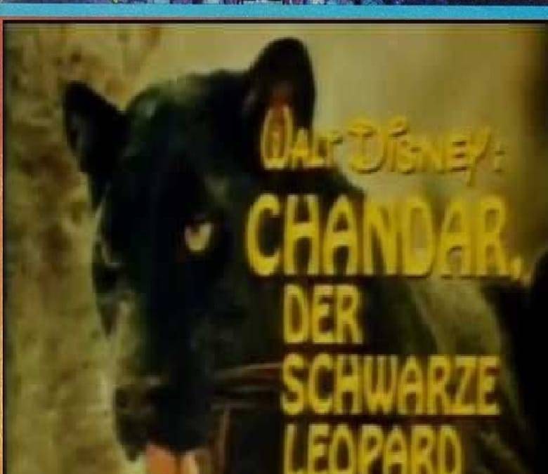 Chandar, the Black Leopard of Ceylon Summary, Trailer, Cast, Where to ...
